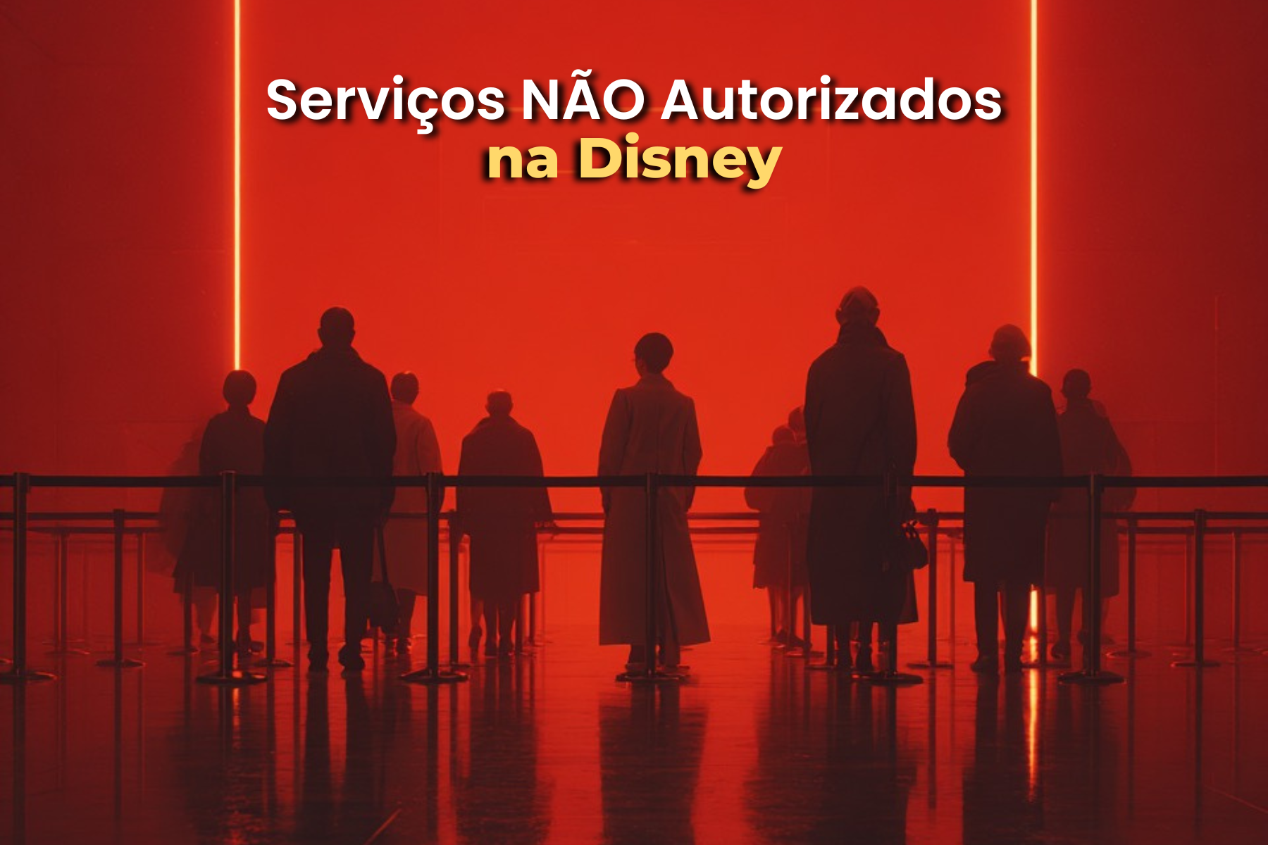 Serviços não autorizados na Disney