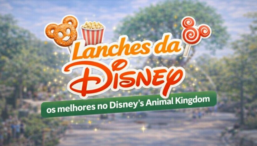 Lanchesdisney22